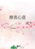 撩表心意