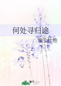 何处寻归期