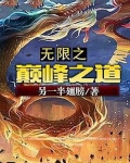 无限之巅峰之道