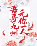 吾寻九州，无你一人