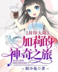 封印大陆,加莉的神奇之旅