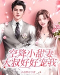 空降小甜妻，大叔好好宠我