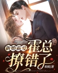 新婚霸爱：霍总，撩错了！