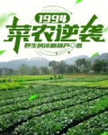 菜农小说