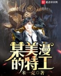 某美漫的特工