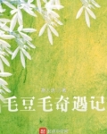 毛豆毛奇遇记