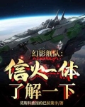 幻影舰队:信火一体了解一下
