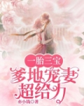 一胎三宝,爹地宠妻超给力