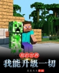 我的世界:我能升级一切