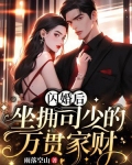 闪婚后,坐拥司少的万贯家财