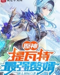 提瓦特最强赘婿