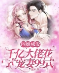 闪婚成爱,千亿大佬花式宠妻99式
