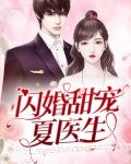 闪婚甜宠夏医生