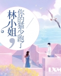 林小姐,你的猫少跑了