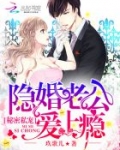 秘密私宠:隐婚老公爱上瘾