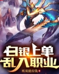 白银上单，乱入职业
