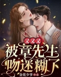 又又又被章先生吻迷糊了!