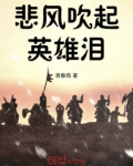 悲风吹起英雄泪