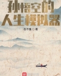 孙悟空的人生模拟器