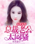 惊世复仇:总裁老公太闷骚