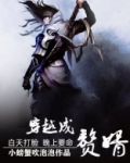 穿越成赘婿