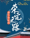 重生贵妃的荣宠之路
