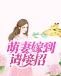 萌妻嫁到请接招