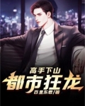 高手下山：都市狂龙