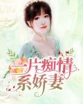 一片痴情系娇妻