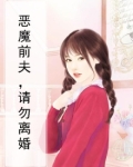 恶魔前夫，请勿离婚