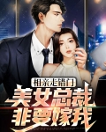 相亲走错门，美女总裁非要嫁我