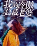 我的冷傲总裁老婆