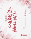 退婚后我成了六宫之主