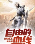 机战之自由的血线