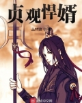 贞观悍婿