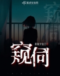 窥伺