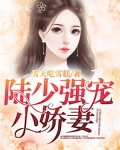 陆少强宠小娇妻
