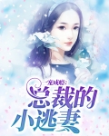 一宠成瘾:总裁的小逃妻