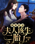 强宠娇妻,夫人该生二胎了