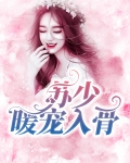 苏少暖宠入骨