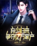 弃少归来,争夺亿万家产