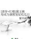 [清穿+红楼]黛玉姨母成为康熙宠妃吃瓜日常