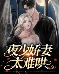 夜少娇妻太难哄