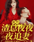 狼性渣总夜夜夜追妻