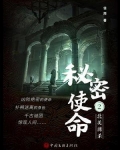 秘密使命 2：北美搏杀