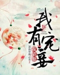 我有宠妾我骄傲