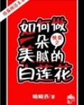(快穿)如何做一朵美腻的白莲花