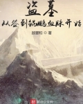 盗墓:从签到鲲鹏血脉开始