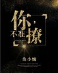 你,不准撩!