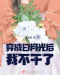 穿成白月光后我不干了